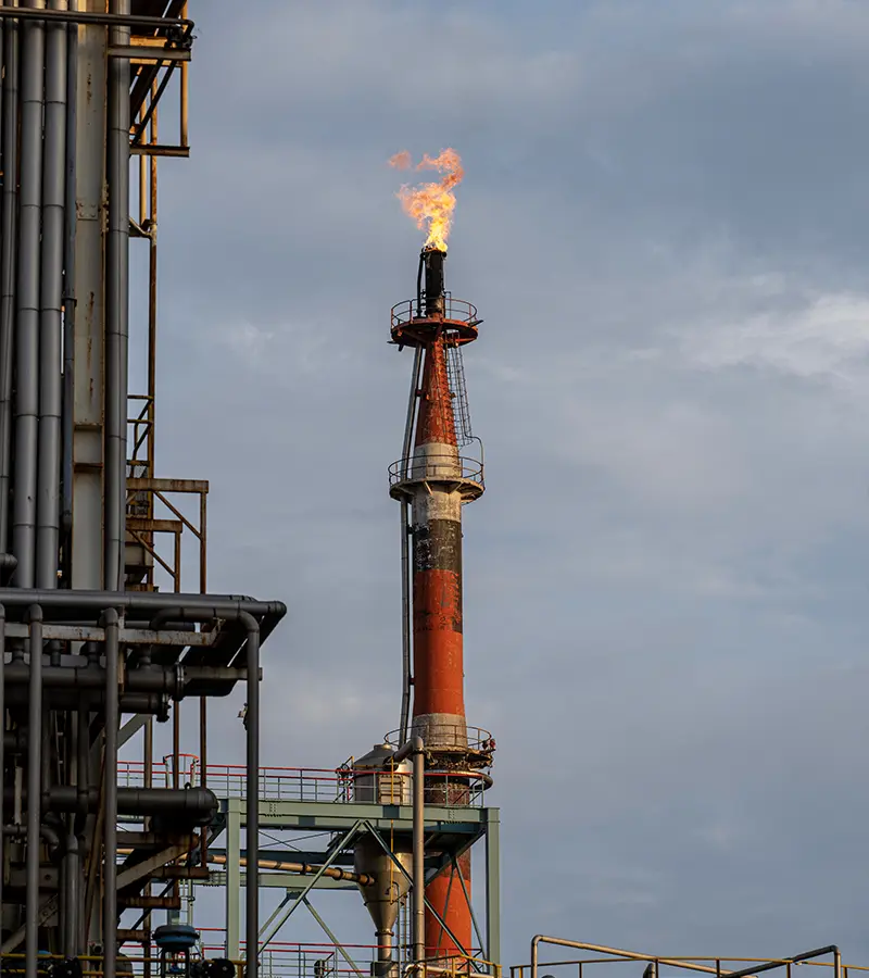 Oil
